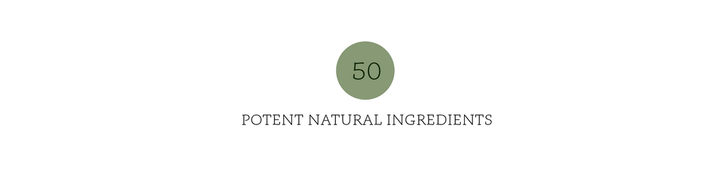 Healing Energy Starter Kit Key Ingredients 100% Natural 100% Organic USDA Certified